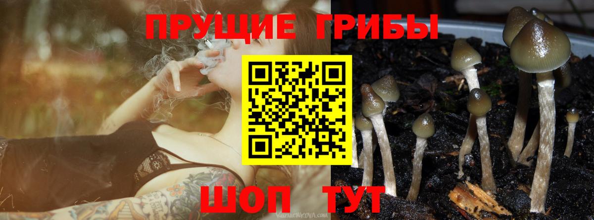 Галлюциногенные грибы MAGIC MUSHROOMS Ливны