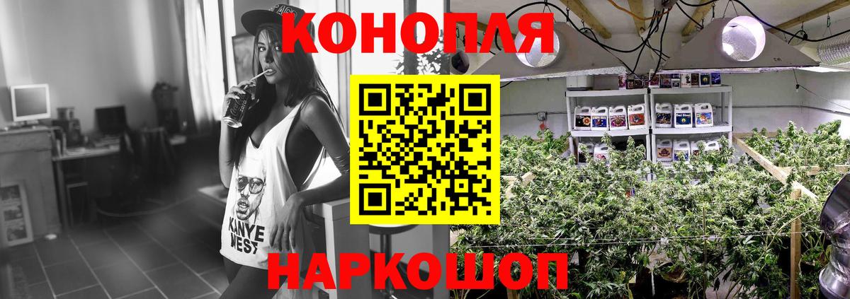 Бошки марихуана план Ливны